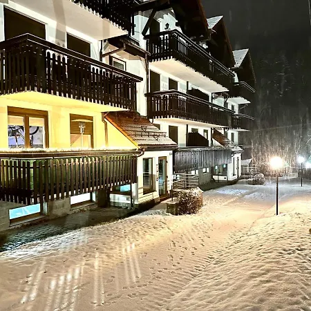 Champion's Balkon Garaz Klima * Szczyrk