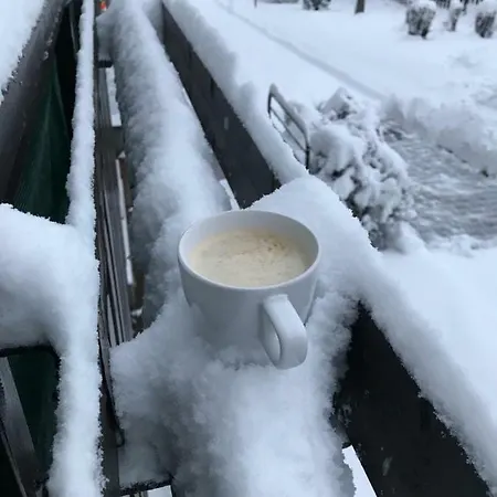 Champion's Balkon Garaz Bsa 公寓 *