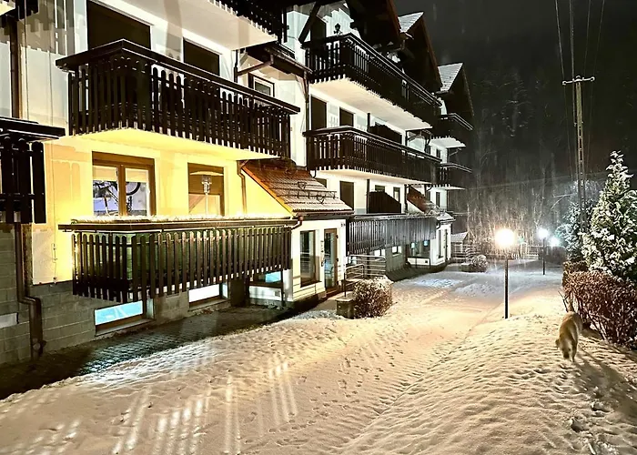 Champion's Balkon Garaz Bsa * Щирк