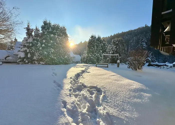 Апартаменты Champion's Balkon Garaz Bsa