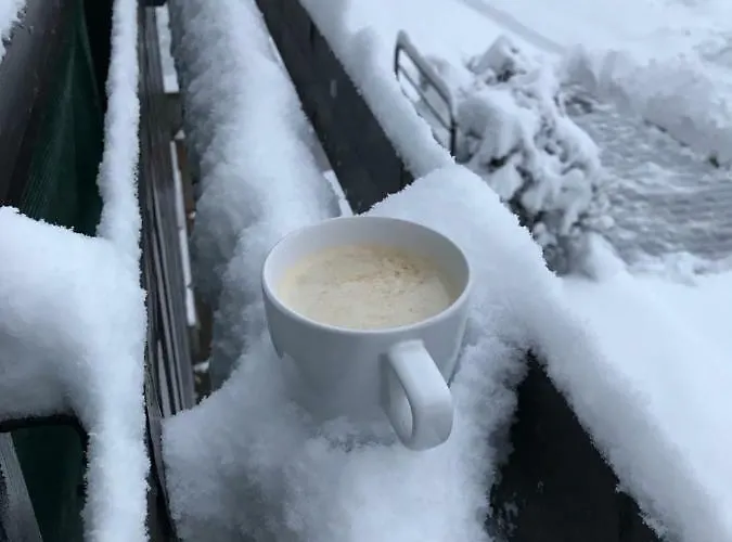 Champion's Balkon Garaz Bsa Апартаменты *